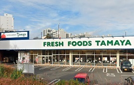 ワイズ　ヴィレッジ その他外観4