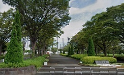 ワイズ　ヴィレッジ その他外観6