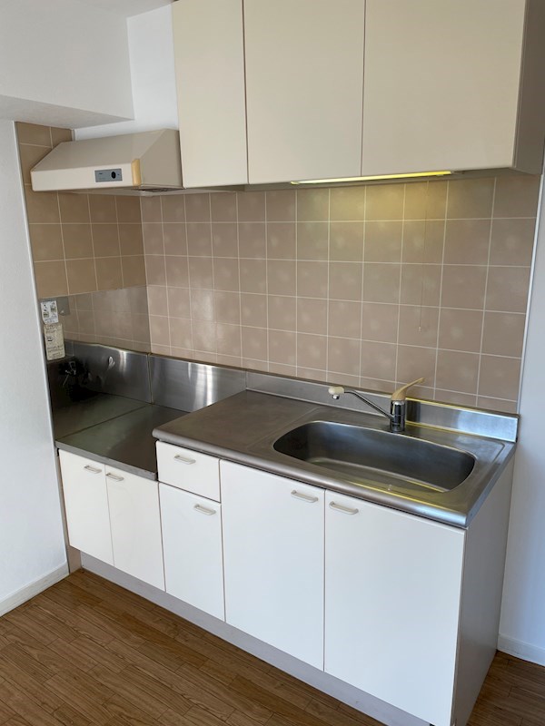 ボタニカアパルトマンⅡ キッチン