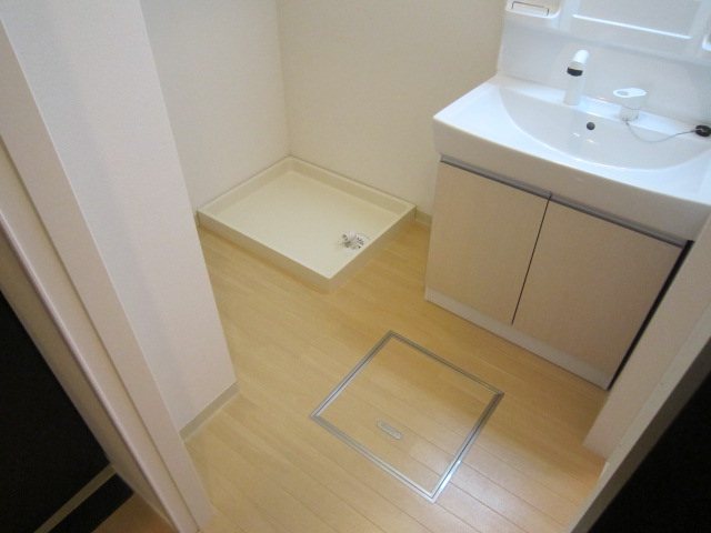 フォーマルハウト その他2