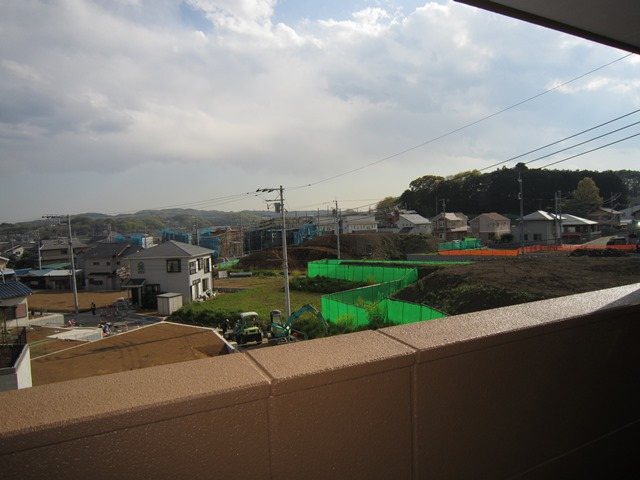 フォーマルハウト その他6