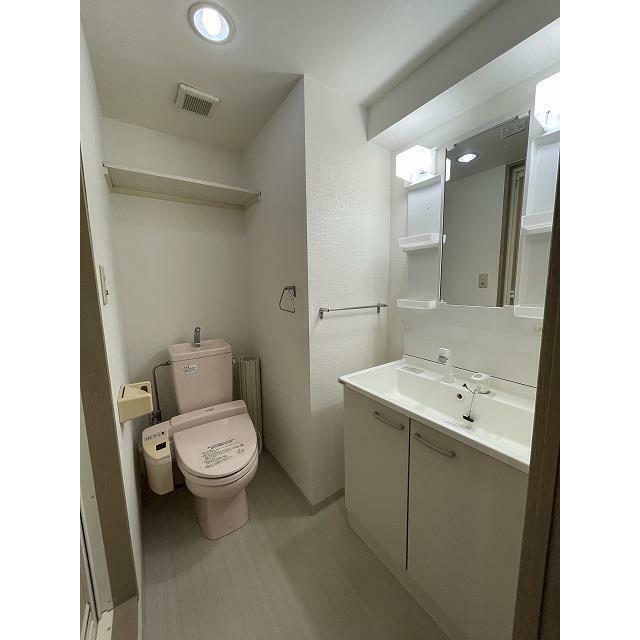 シュクランス その他2