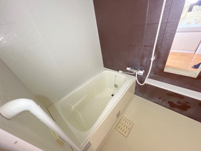 ルミナス飯泉 風呂画像