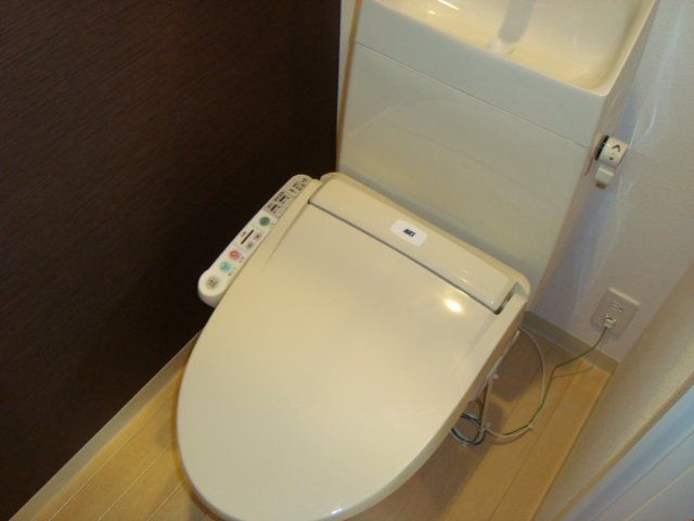 フォーマルハウト その他5