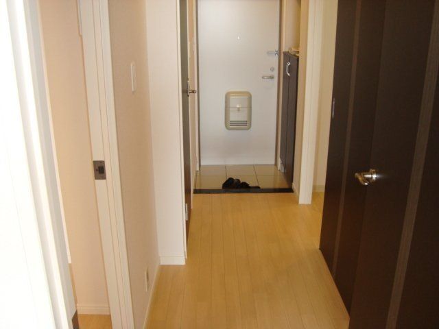 フォーマルハウト その他9