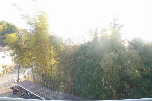 第二稲荷山ハイツＢ その他6