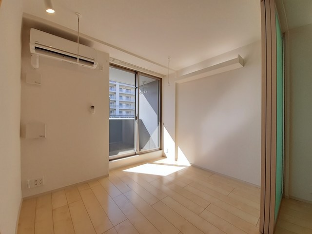 アングロ　フェリーチェ その他1