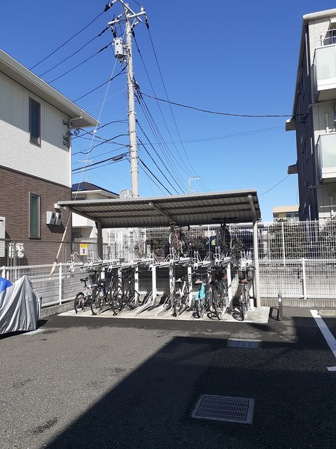 アングロ　フェリーチェ その他5