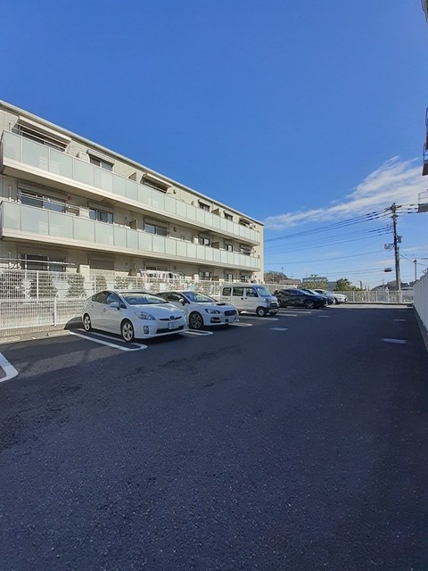 アングロ　フェリーチェ その他7