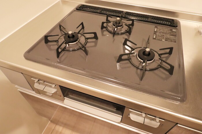 Green　Park湘南台 その他1