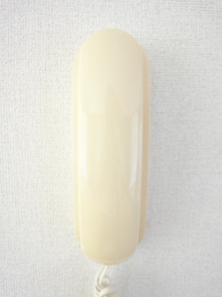 ブルーベリーハウスＡ その他6