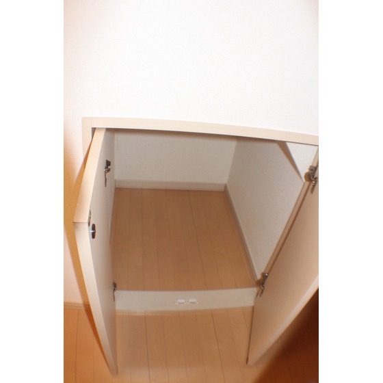 Selsia Ⅰ-B その他6