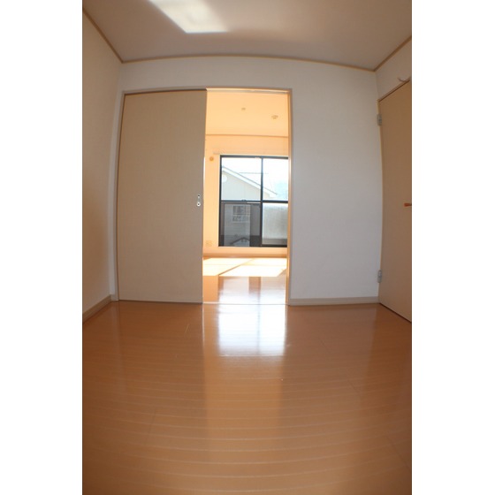 Selsia Ⅰ-B その他11