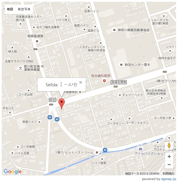 Selsia Ⅰ-B その他13