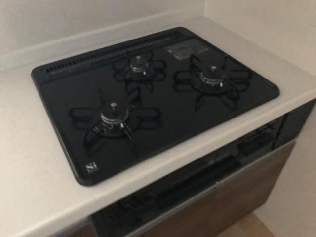 ウエイド　フルスⅡ その他10