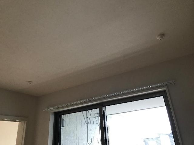 ウエイド　フルスⅡ その他13