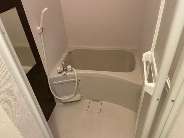 フライングバード 風呂画像