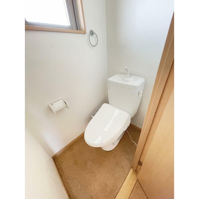 ロック・フィールド水引 その他2