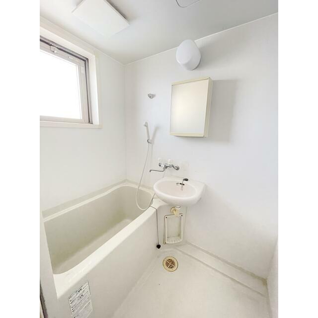 ロック・フィールド水引 その他5