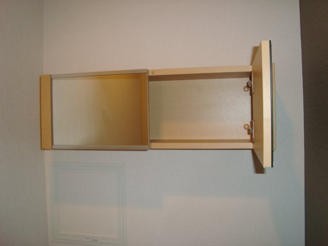 Ｓａｎｇｌｉｅｒ その他11