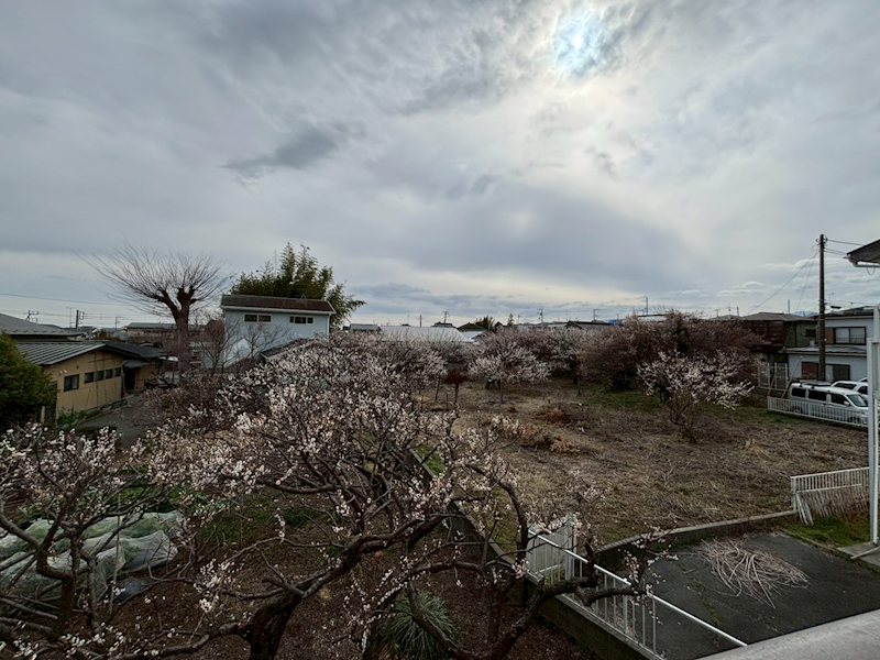 シティハイムグリーンフラット その他2