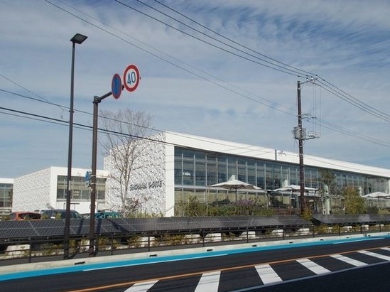 マメリアン その他外観6