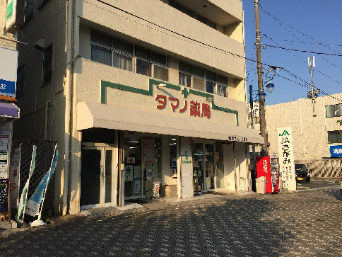 北茅ヶ崎アパートメント６号棟 周辺画像4