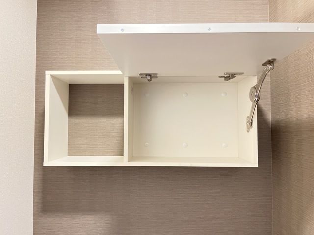 アプリコットＥ その他