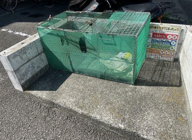 エクセレントⅡ その他外観6