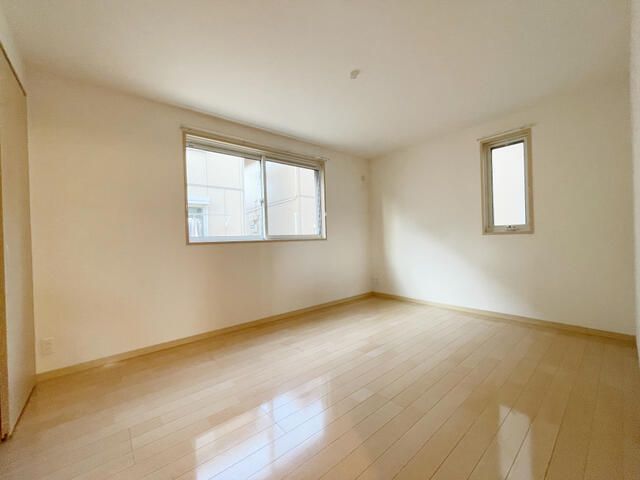 スプリングハーモニー その他1