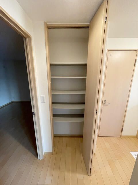 スプリングハーモニー その他3