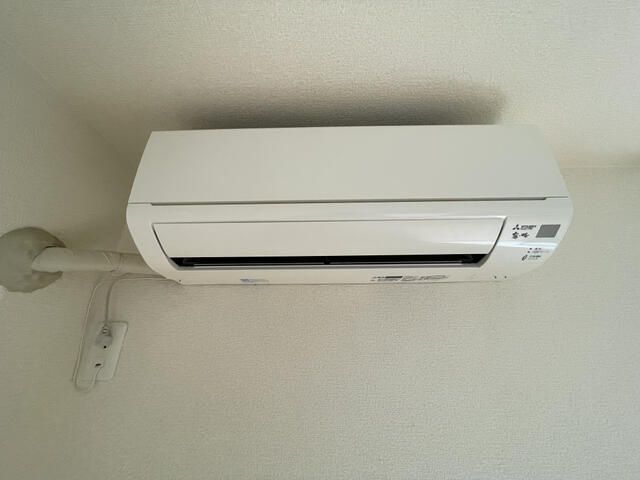 スプリングハーモニー その他2