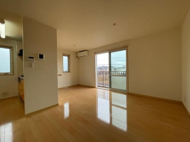 スプリングハーモニー その他5