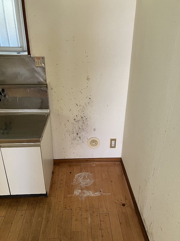 サンライズ その他10