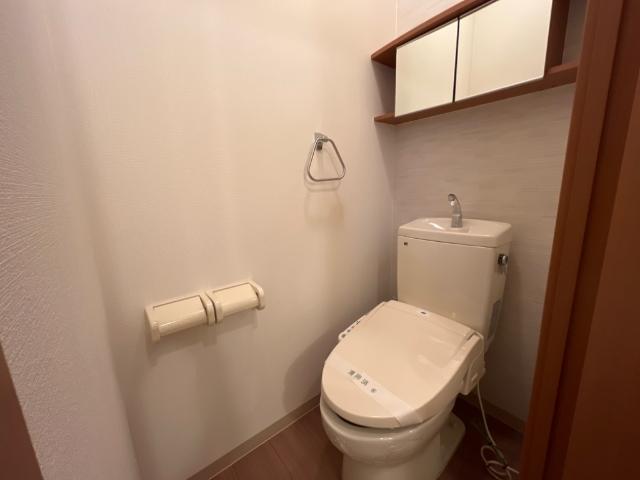 プレサスＳⅡ その他2