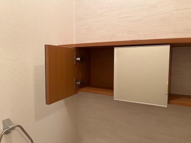 プレサスＳⅡ その他8