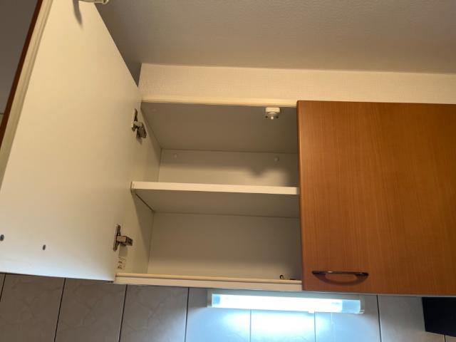 プレサスＳⅡ その他9