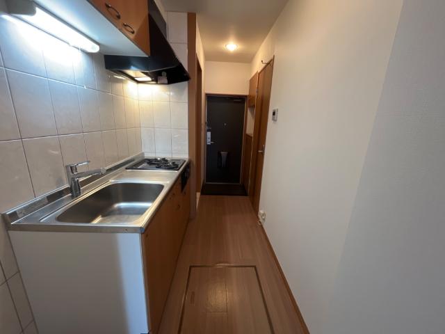 プレサスＳⅡ その他14