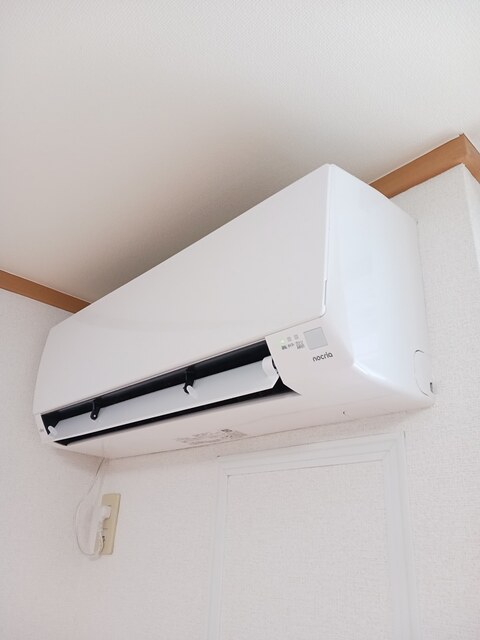 ペルレトゥルムＡ その他5