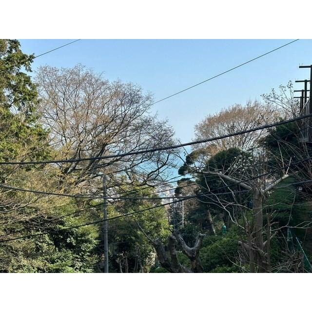 大磯羽白山の貸家 その他9