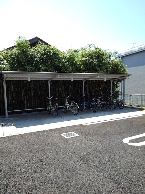 デスパシオ その他6