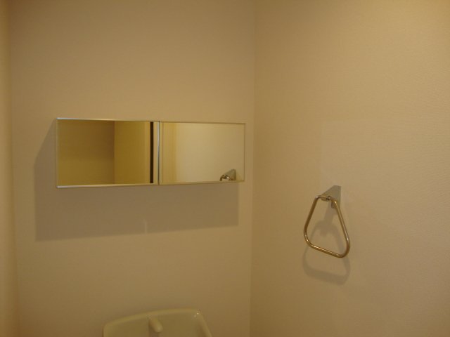 ＡＫ Ｈeim Joy-Full その他11