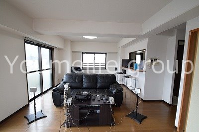 アネシスヒルズ リビング