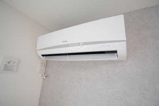 ミューズ その他1