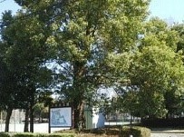 サンリーフ湘南 その他外観4