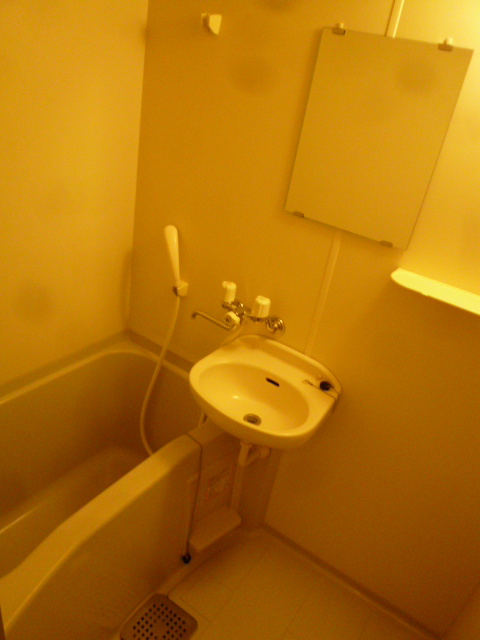 ダイヤガーデン 風呂画像