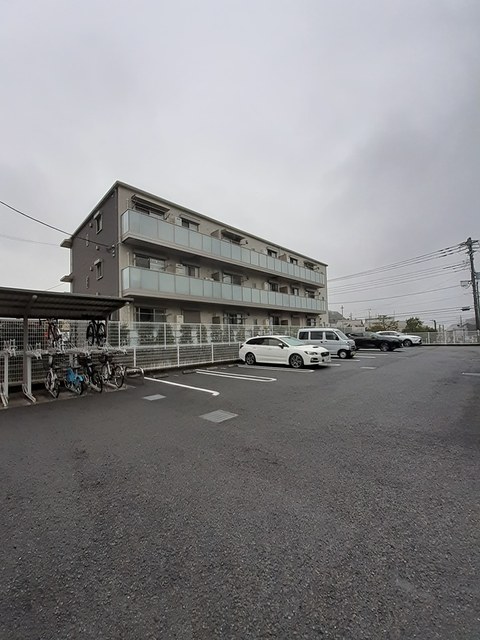 アングロ　フェリーチェ その他7