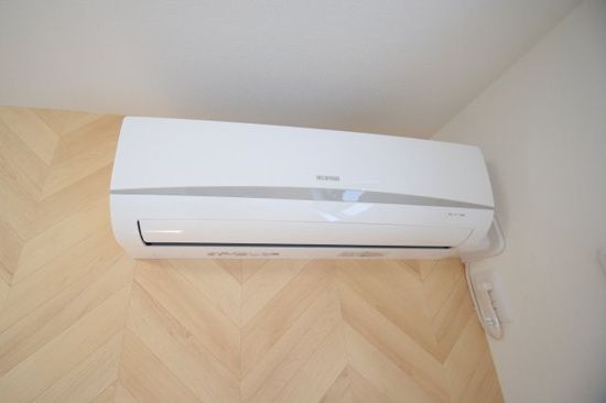 ミューズ その他2