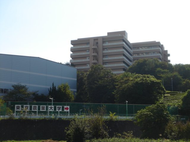 ビレッジ高坪Ⅱ その他外観6