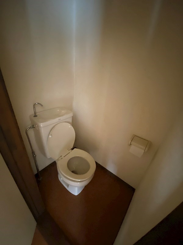 プリマヴェイラB その他1